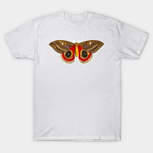 Butterfly Moth illustrated T-Shirt